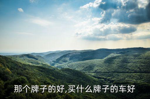 那个牌子的好,买什么牌子的车好