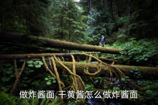 怎么做炸酱面,干黄酱怎么做炸酱面