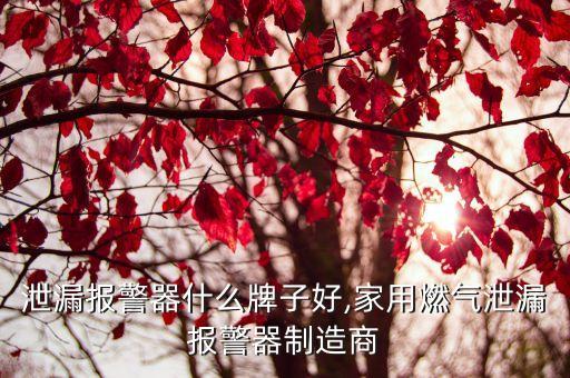 燃气泄漏报警器什么牌子好,家用燃气泄漏报警器制造商