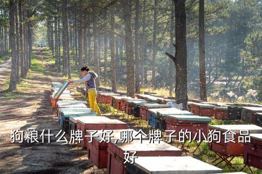 幼狗狗粮什么牌子好,哪个牌子的小狗食品好?