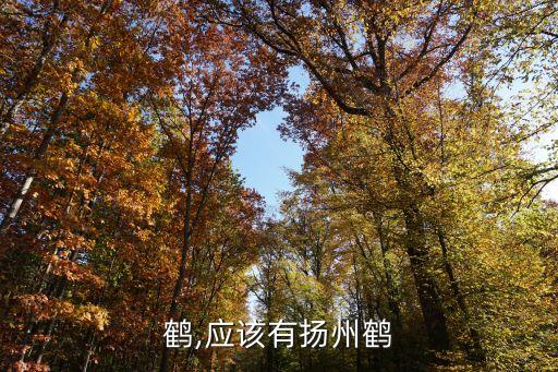 鹤,应该有扬州鹤