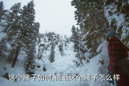 奔腾这个牌子如何,德菲这个牌子怎么样?