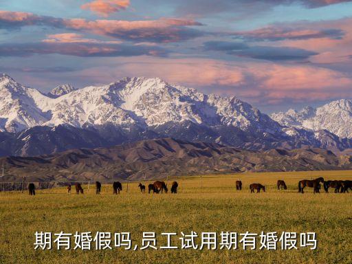 试用期有婚假吗,员工试用期有婚假吗