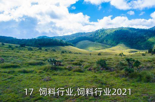 2017  饲料行业,饲料行业2021