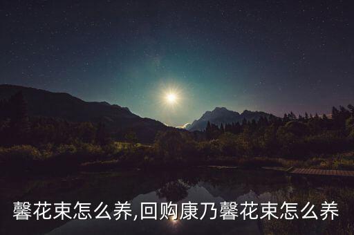 康乃馨花束怎么养,回购康乃馨花束怎么养