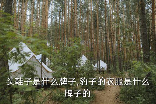 豹子头鞋子是什么牌子,豹子的衣服是什么牌子的?