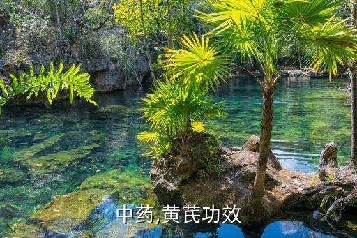 中药,黄芪功效