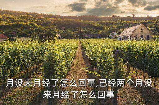 两个月没来月经了怎么回事,已经两个月没来月经了怎么回事