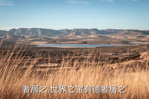 有德者居之,世界之宝有德者居之