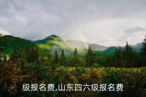 四六级报名费,山东四六级报名费