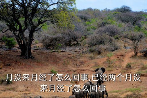 月没来月经了怎么回事,已经两个月没来月经了怎么回事