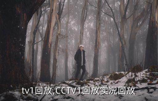 tv1回放,CCTV1回放实况回放