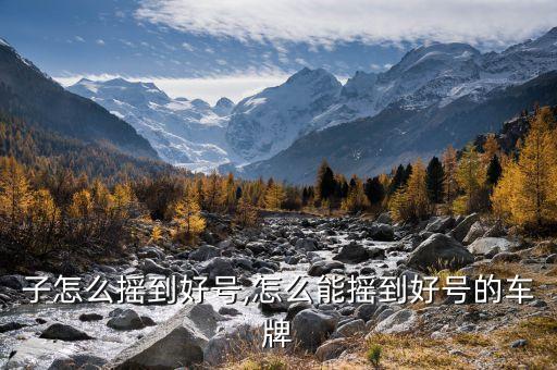 车牌子怎么摇到好号,怎么能摇到好号的车牌?