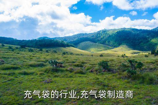 需要充气袋的行业,充气袋制造商