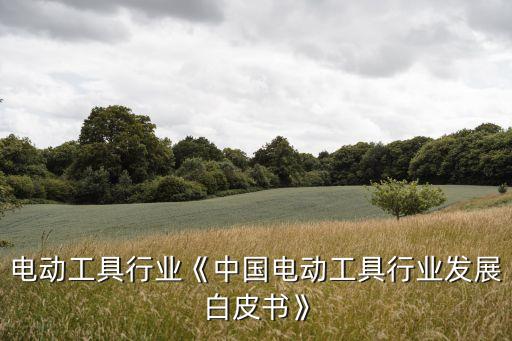 全国电动工具行业《中国电动工具行业发展白皮书》