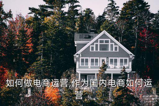 个人如何做电商运营,作为国内电商如何运营?