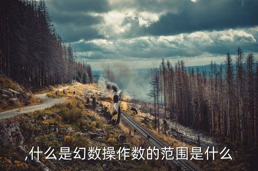 数术,什么是幻数?操作数的范围是什么?
