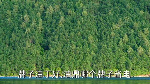 什么牌子油丁好,油鼎哪个牌子省电?