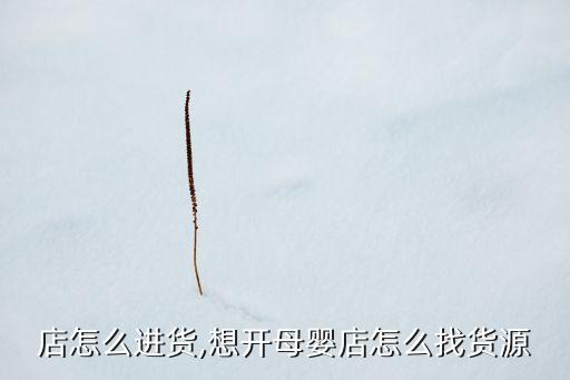 店怎么进货,想开母婴店怎么找货源