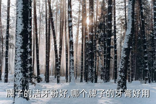 那个牌子的洁牙粉好,哪个牌子的牙膏好用?