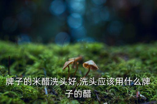 哪个牌子的米醋洗头好,洗头应该用什么牌子的醋?