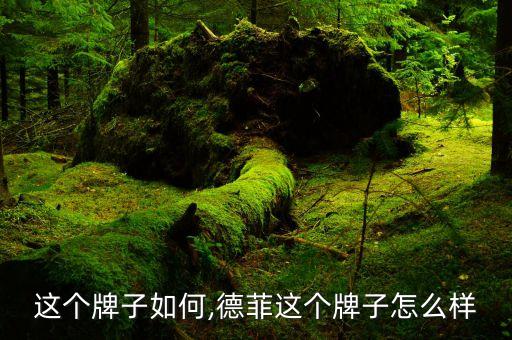这个牌子如何,德菲这个牌子怎么样