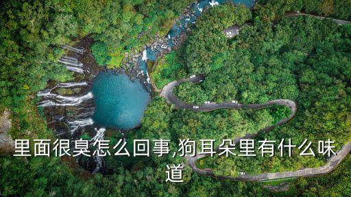 里面很臭怎么回事,狗耳朵里有什么味道