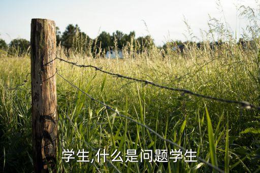 问题学生,什么是问题学生