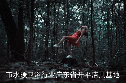 市水暖卫浴行业广东省开平洁具基地