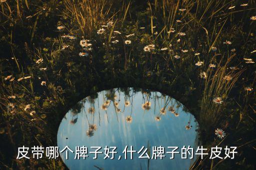 牛皮皮带哪个牌子好,什么牌子的牛皮好?