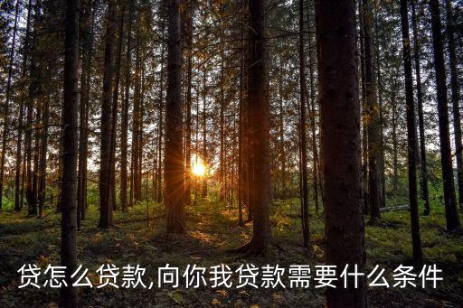 贷怎么贷款,向你我贷款需要什么条件