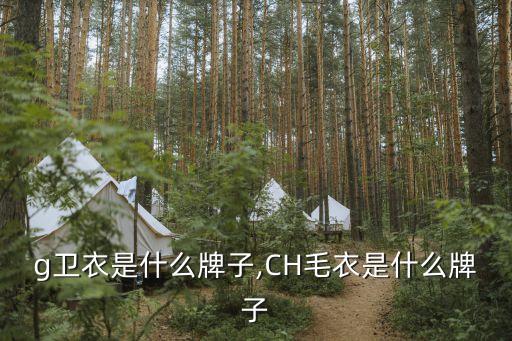 fog卫衣是什么牌子,CH毛衣是什么牌子?