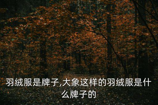 青蛙羽绒服是牌子,大象这样的羽绒服是什么牌子的?