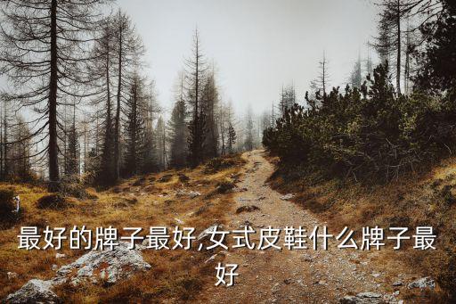 最好的牌子最好,女式皮鞋什么牌子最好