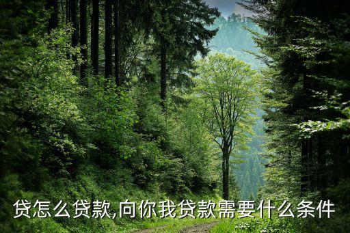 你我贷怎么贷款,向你我贷款需要什么条件?