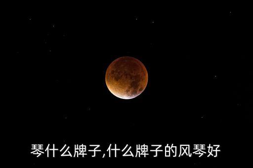 琴什么牌子,什么牌子的风琴好