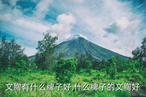 文胸有什么牌子好,什么牌子的文胸好