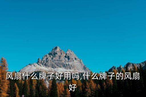 台式风扇什么牌子好用吗,什么牌子的风扇好?