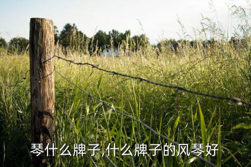 琴什么牌子,什么牌子的风琴好