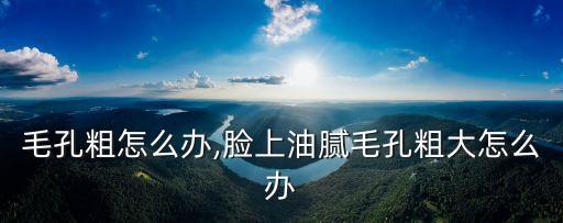 脸油毛孔粗怎么办,脸上油腻毛孔粗大怎么办?