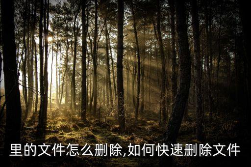 电脑里的文件怎么删除,如何快速删除文件?
