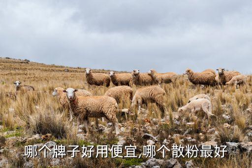 哪个牌子好用便宜,哪个散粉最好