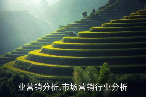 各行业营销分析,市场营销行业分析