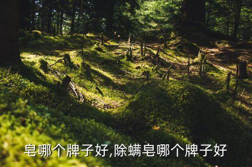 净螨皂哪个牌子好,除螨皂哪个牌子好?