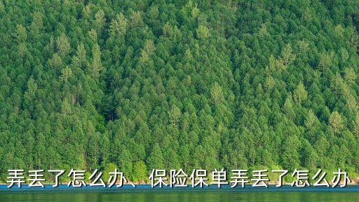 保单弄丢了怎么办、保险保单弄丢了怎么办