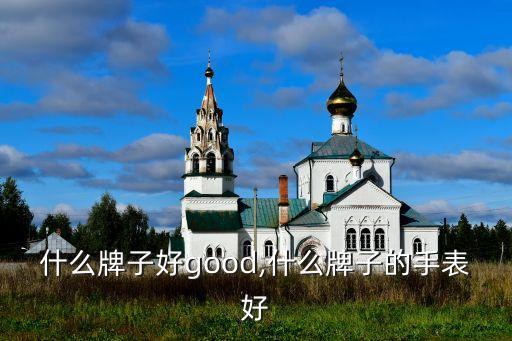 网购什么牌子好good,什么牌子的手表好?