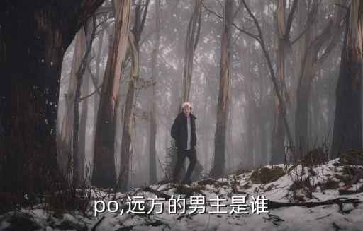 男男po,远方的男主是谁?