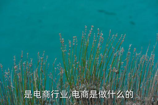 是电商行业,电商是做什么的