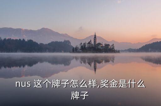 Bonus 这个牌子怎么样,奖金是什么牌子?