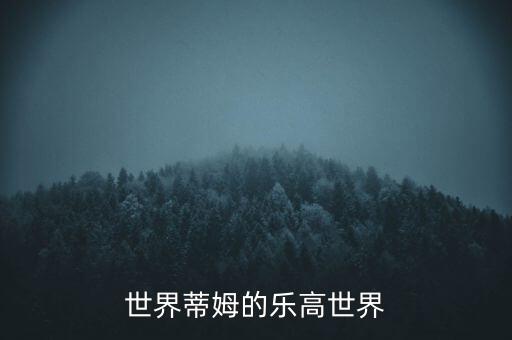 乐高世界蒂姆的乐高世界